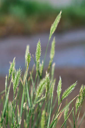 ISO 200 1/200sec