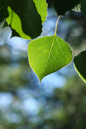1/125sec F7.1